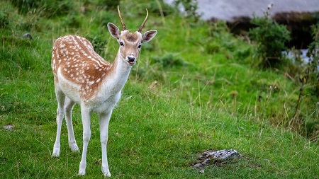 智能锁真的能锁住安全吗？揭秘现代家居安全新选择
